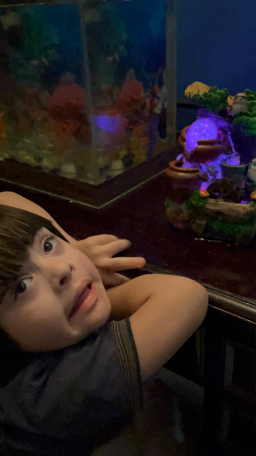 Criança observando um aquário em uma experiência sensorial